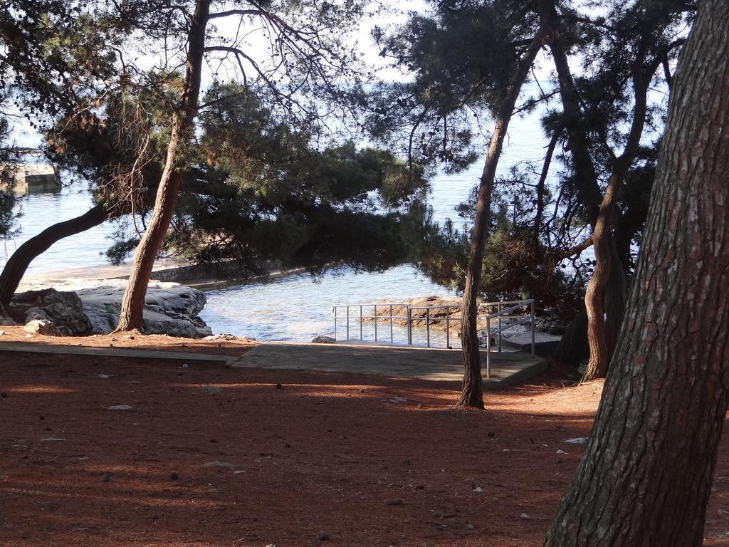 Adriatic Borse Bašanija