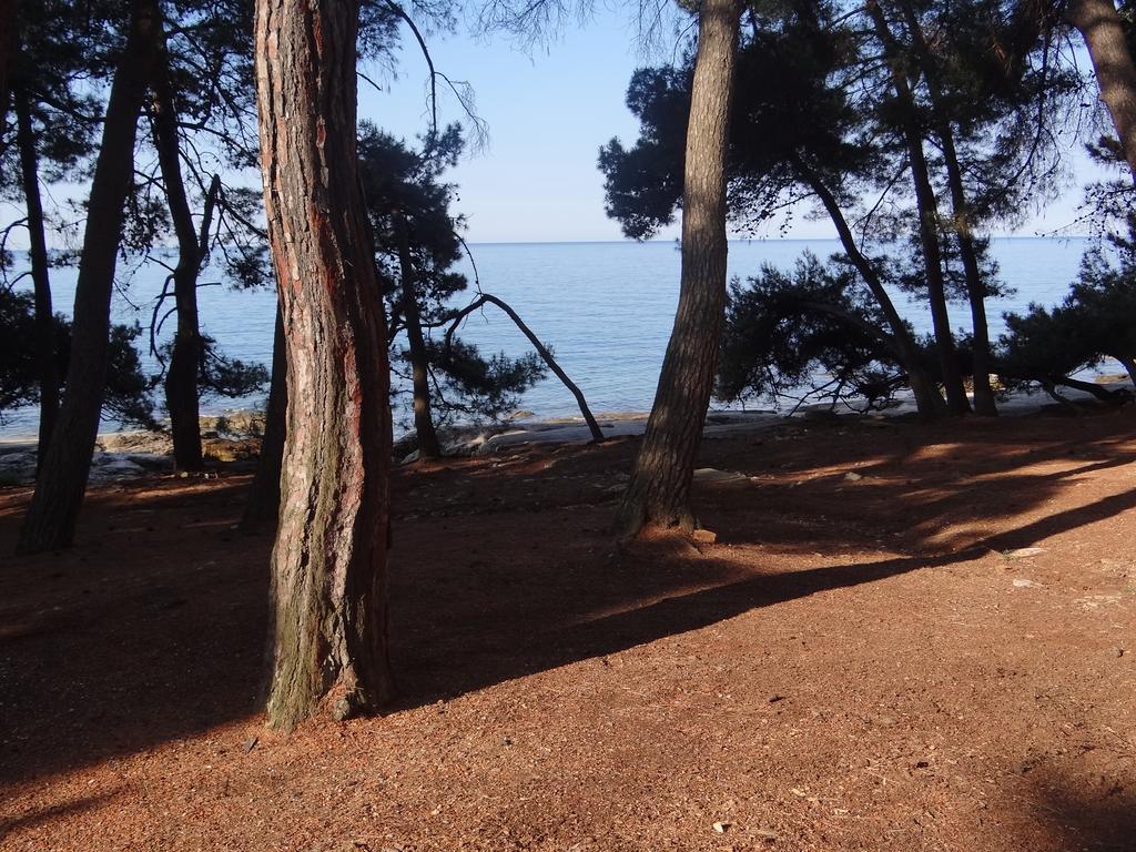 Prázdninový dům Adriatic Borse
