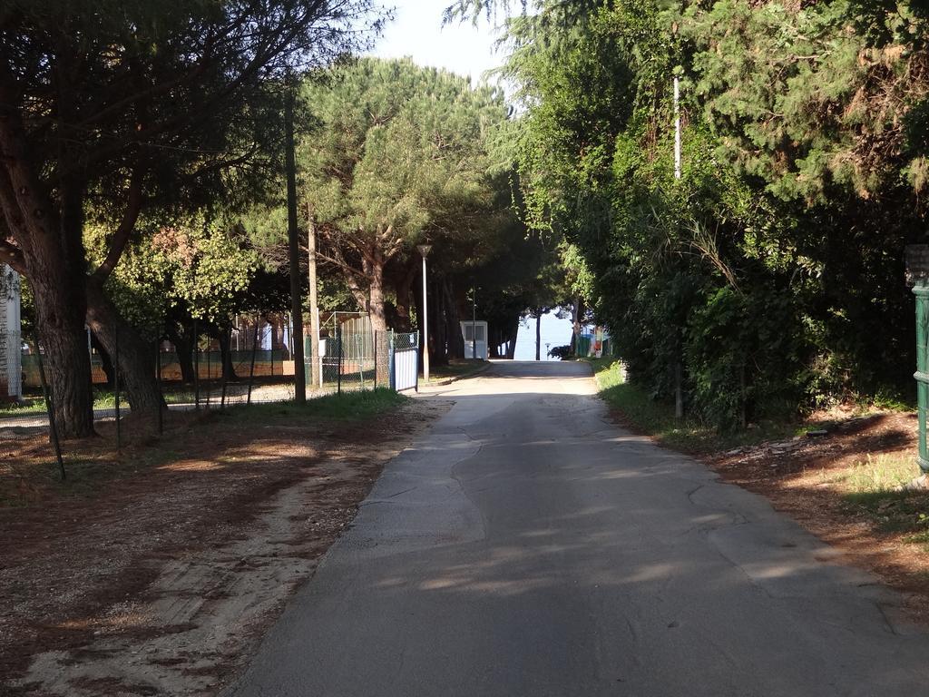 Adriatic Borse